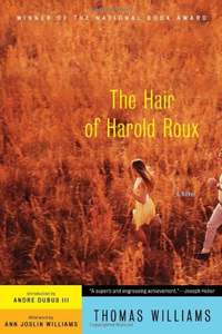 The Hair of Harold Roux book cover