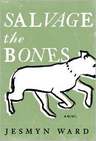 Salvage the Bones cover