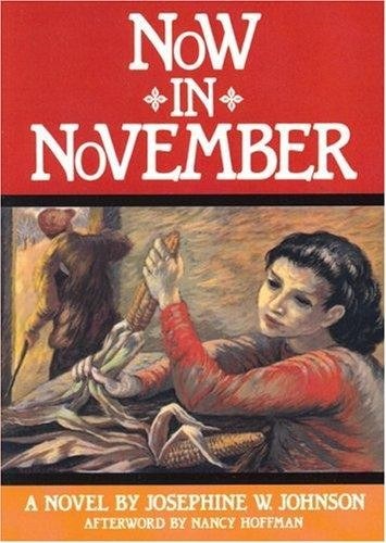 Now in November book cover