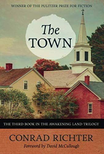 The Town book cover