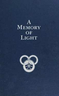 A Memory of Light book cover