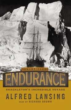 Endurance book cover